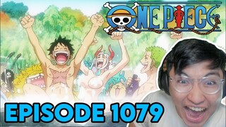 LET THE CELEBRATION BEGINS !!! NEW REVELATIONS ?!? | Episode 1079 | One Piece REACTION !
