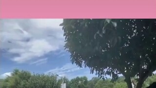 [Bojun Yixiao] Đôi điều về biển số gg và dd