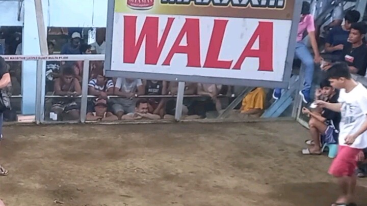 2X WINNER BULIK @NEW TALABA COCKPIT ARENA