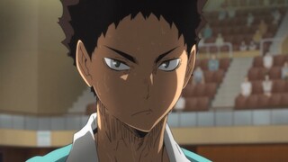 [Haikyuu!] Iwaizumi Ichi: I gave you too much freedom