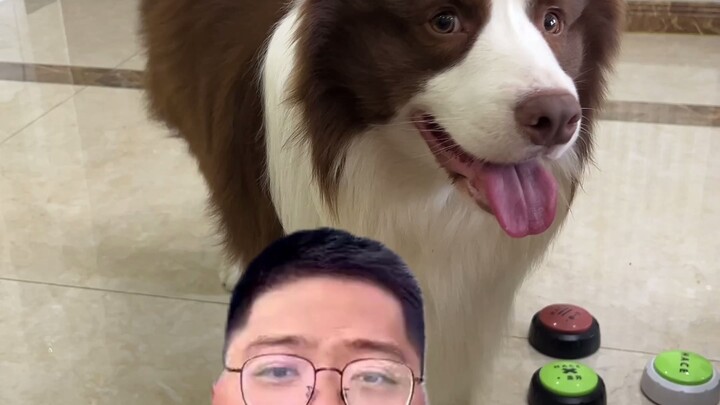 The background is real; he really filmed it at our house.