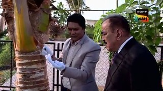 99_ Case Solve करके भी Criminal ने झोंकी CID आँखों में धूल _ CID _ सी.आई.डी._ Ju