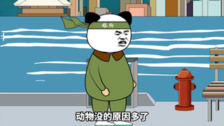 井蛙家的靠背哥 我们不是小粉红 是赤红