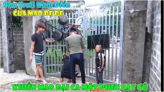 Pha Troll Kinh Điển Của Mao Đệ Đệ Khiến Mao Ca Một Phen Cực Cay Cú...