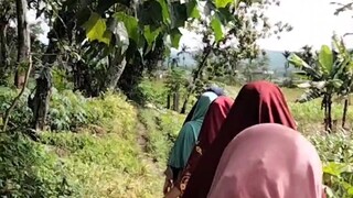 Ke kebun versi anak kos😁