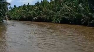 naik sampan