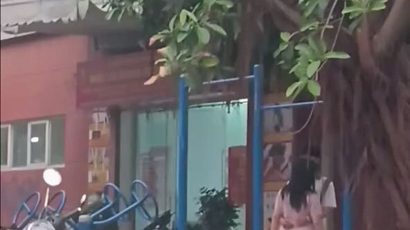 mái đã chịu trống và sao đó 🤣