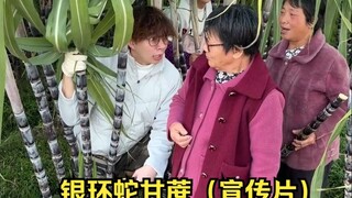 This promotional effect is pretty impressive, isn't it?