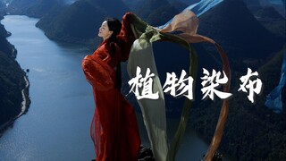 Chinese intangible cultural heritage plant dyeing