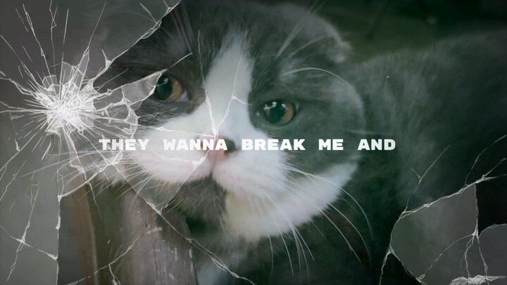 cái kết cho kẻ khinh thường...🖤