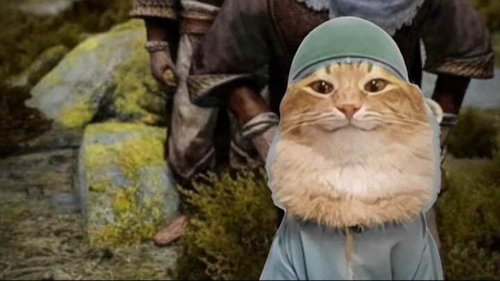 Khajiit Joined the Redguards #skyrim #memes