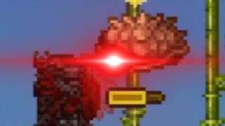 Summarize 50% of the pain in Terraria in 45 seconds