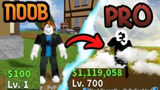 Going from NOOB LVL 1 to HERO in BLOX FRUITS | Roblox NOOB to PRO | Blox Fruits