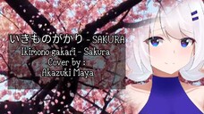 いきものがかり - SAKURA Ikimono gakari - Sakura Cover by : Akazuki Maya | Lyric | Romaji | nice japan song