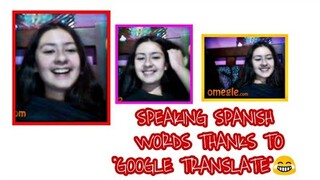 USING GOOGLE TRANSLATE TO COMMUNICATE ON OMEGLE | ARKEYEL CHANNEL