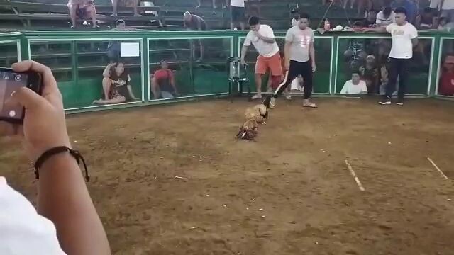 pang tatlo sa magkakapatid na bulik n nanalo