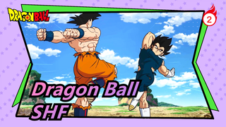 Dragon Ball | [SHF] Inilah SHF yang Kalian Inginkan_2