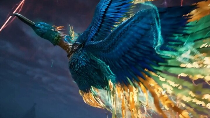 مايبا هي، الحافلة، السيف الحامل للطائرات... أي منها تعتقدون أنه الأكثر تميزًا يا رفاق الطريق؟