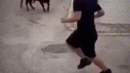 Slipping is a lie told by a cow