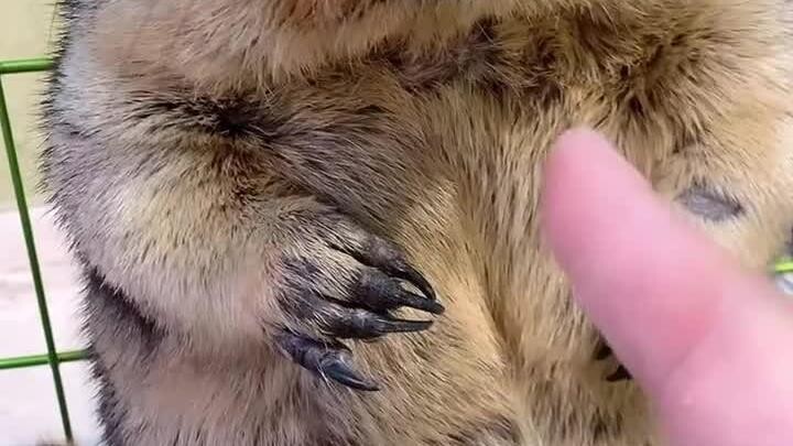 พื้นหายไปแล้ว