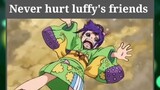 Never Hurt Luffy's Friends