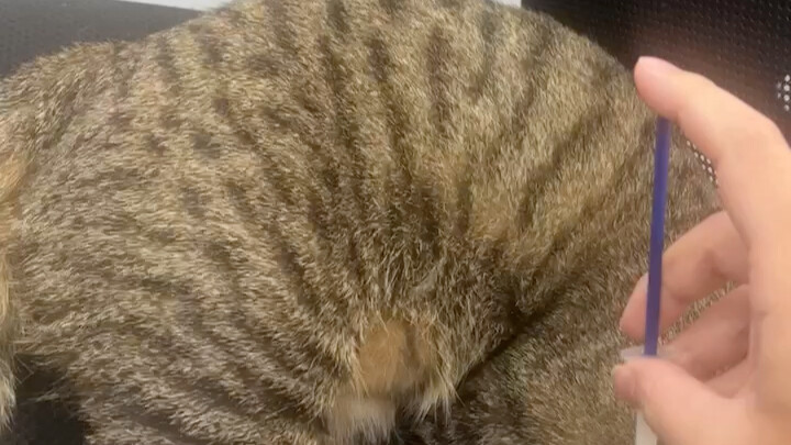 Is it embarrassing to be this old?