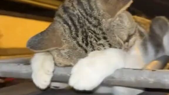 where is her boyfriend? hehehe