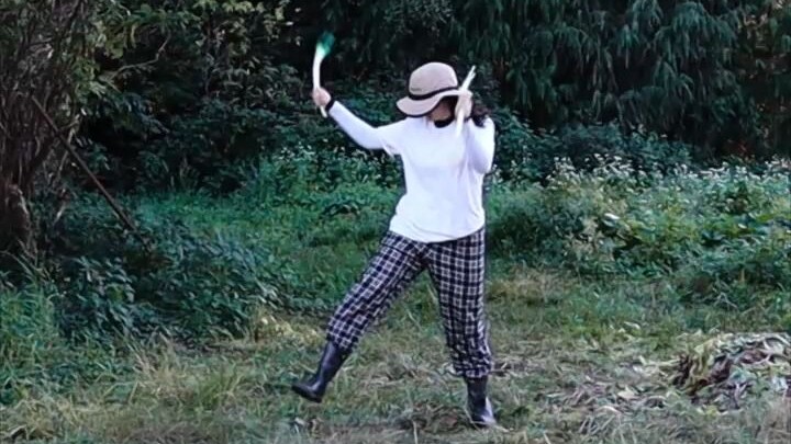 【口袋】甩葱歌，但是个2024翻跳