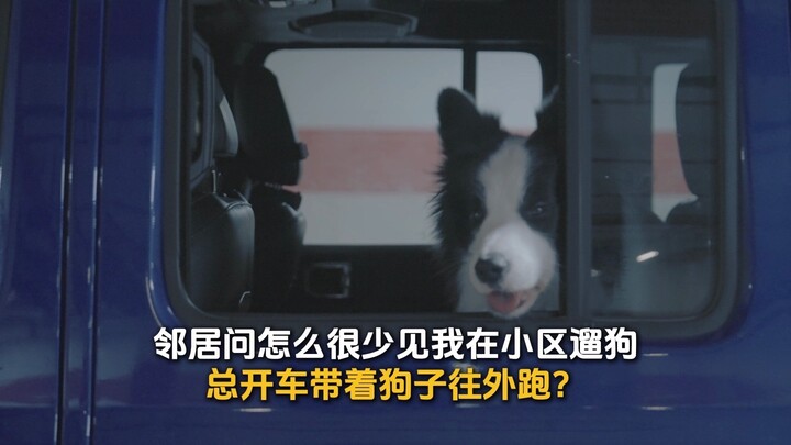 “My dog’s life is meant to be wasted wandering far away in the wilderness.”