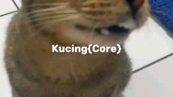 kucing (core)