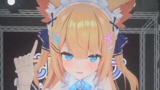 【猫猫小视频】来自猫猫的每日问候