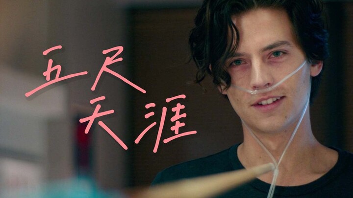 “我们的爱就是偷来的一尺”「五尺天涯」
