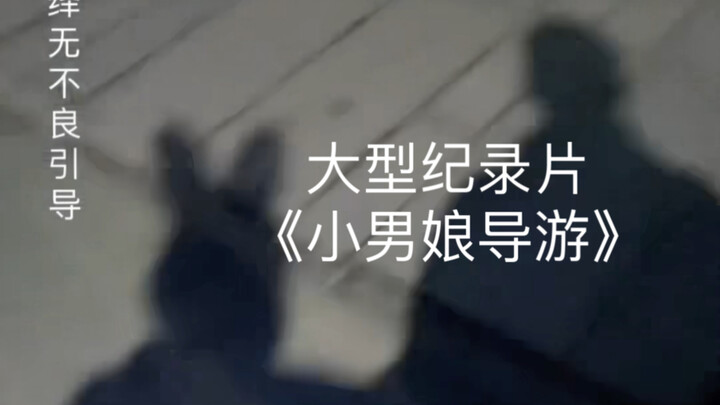 สารคดีขนาดใหญ่ “ไกด์น้อย” “ไม่ใช่ว่าไกด์น้อยจะแพง แต่ไกด์น้อยจะคุ้มกว่า”