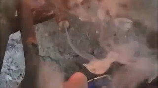 I missed out on a fun thing when I was a kid.