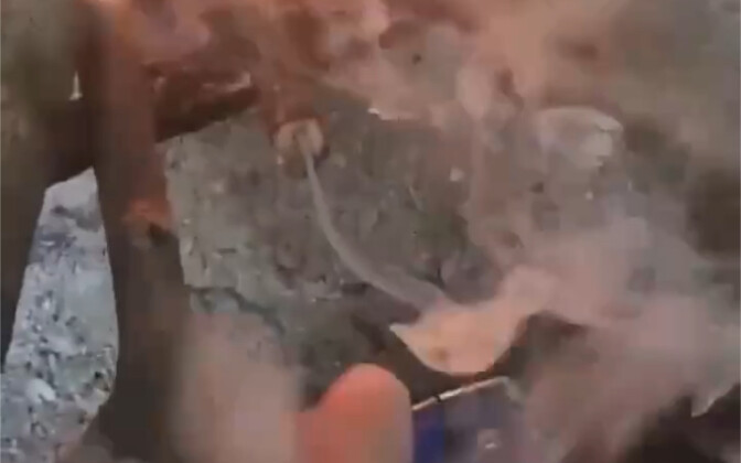 I missed out on a fun thing when I was a kid.