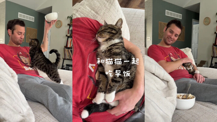 กินอาหารเช้ากับน้องแมว 🥣