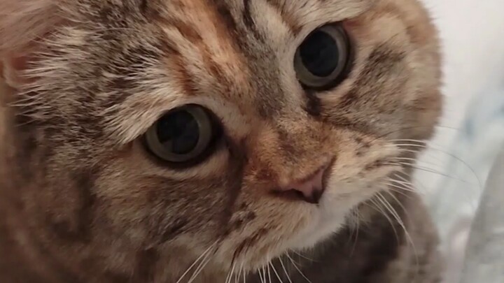 Roommate Makes Loud Noises Before Bed