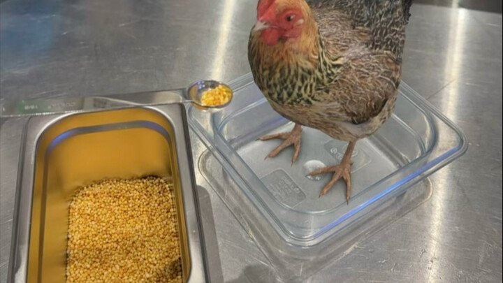 Keeping this on the down low—don’t tell the boss!