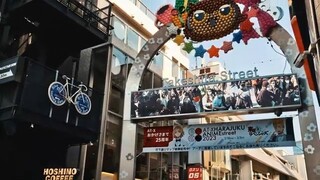 TOKYO’S PERFECT DAYS: YOYOGI, HARAJUKU & SUGAMO WALK