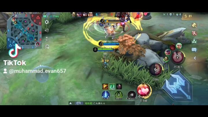 KETIKA ROLE ASSASHIN MAKE SUPPORT Gini jadinya..