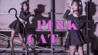 [Dance Cover] ❤️PINK CAT❤️ Em sẽ khiến anh say mê⭐