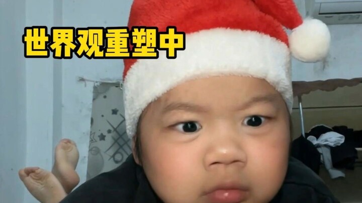 Chú chó cốc, rốt cuộc bạn đã chọc giận ai vậy?