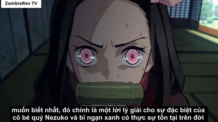 Cái Kết Của Kimetsu No Yaiba - Lí Do Vì Sao Hơn 1000 Năm Muzan Không Kiếm Được H