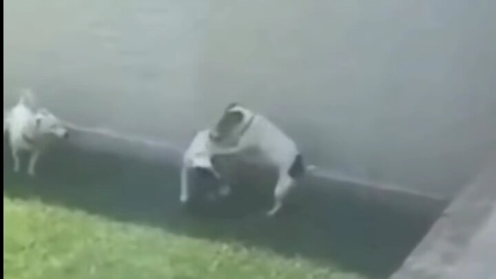 Klasik Nostalgia: Lihatlah di Belakangmu