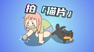 据说小猫的正脸很难拍......