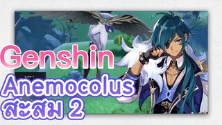 Anemocolus สะสม 2