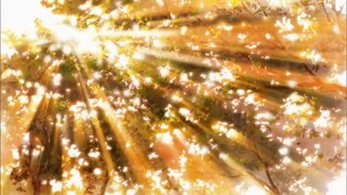 Kimi ni Todoke S1 Episode 11 [sub indo]