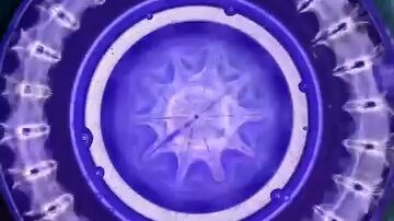 thanh lọc cơ thể