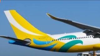 Cebu Pacific A320-200 Flight Landing 🛬