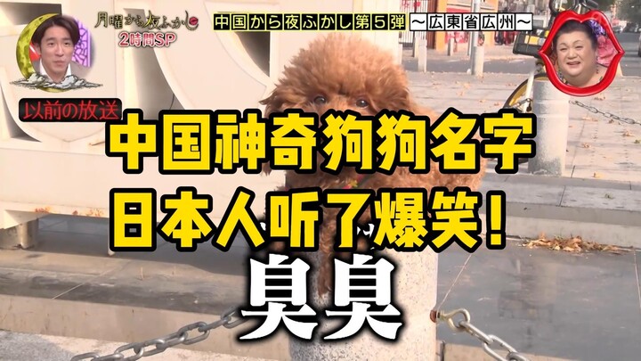 Nama anjing Cina yang ajaib dan bikin orang Jepang tertawa! Apakah anjing Anda juga dinamai demikian